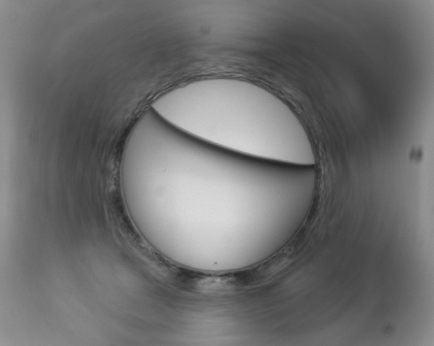 X0000112780465200908201418