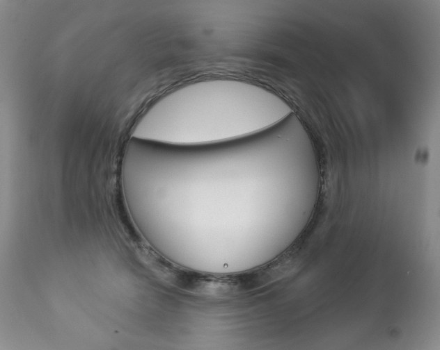 X0000112780466200908201418