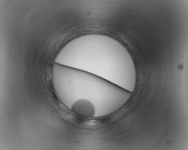 X0000112780467200908201418