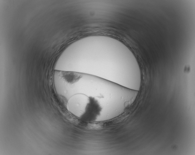 X0000112780469200908201418