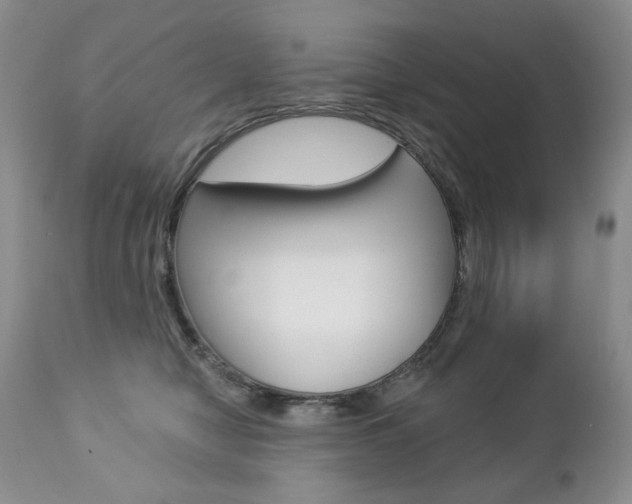 X0000112780470200908201418
