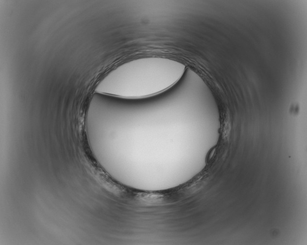 X0000112780476200908201418