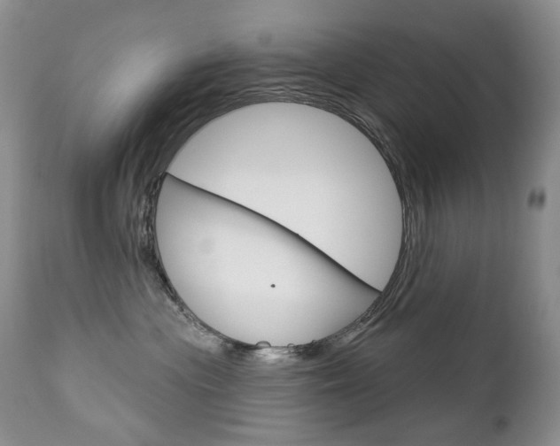 X0000112780477200908201418