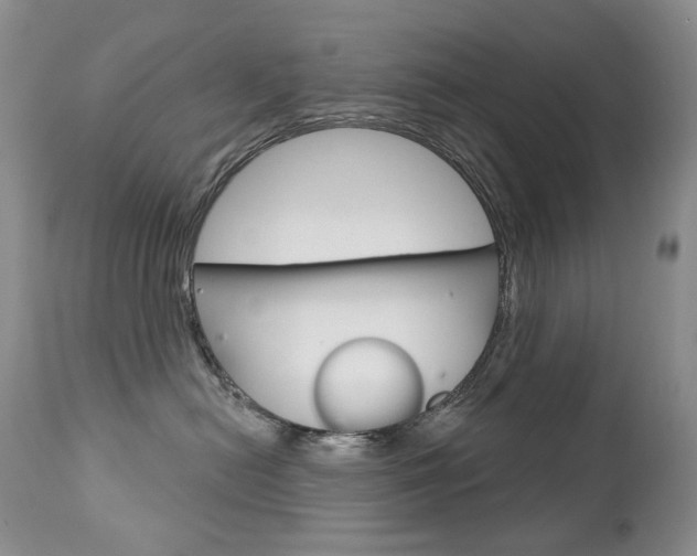 X0000112780478200908201418