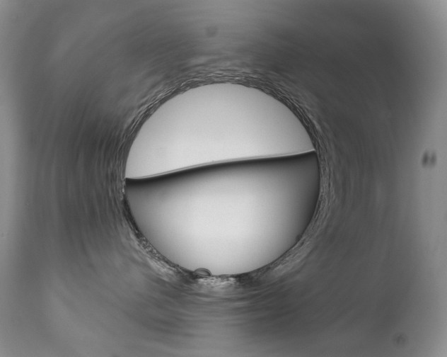 X0000112780480200908201418