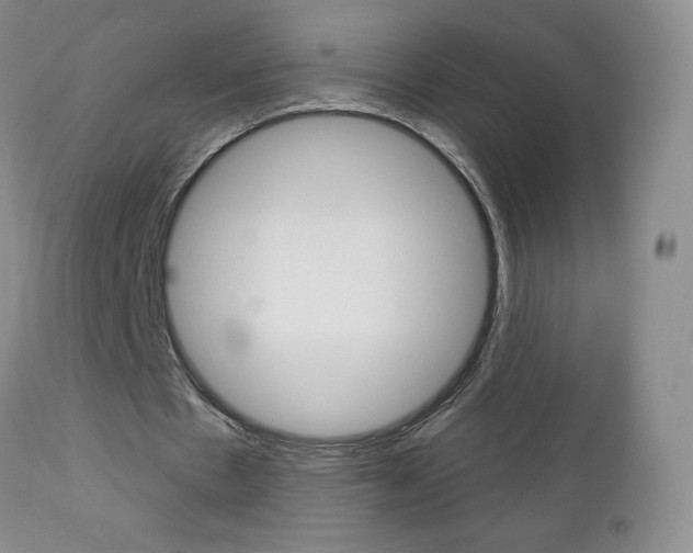 X0000112780481200908201417