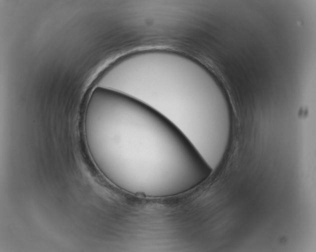X0000112780483200908201417