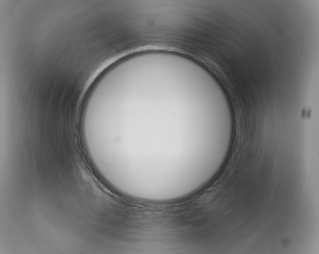 X0000112780484200908201417