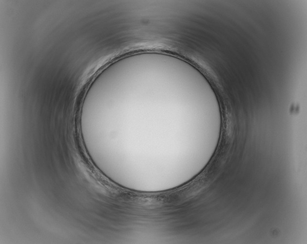 X0000112780486200908201417