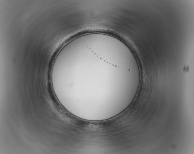 X0000112780487200908201417