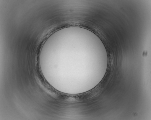 X0000112780494200908201417