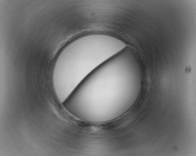 X0000112780496200908201417