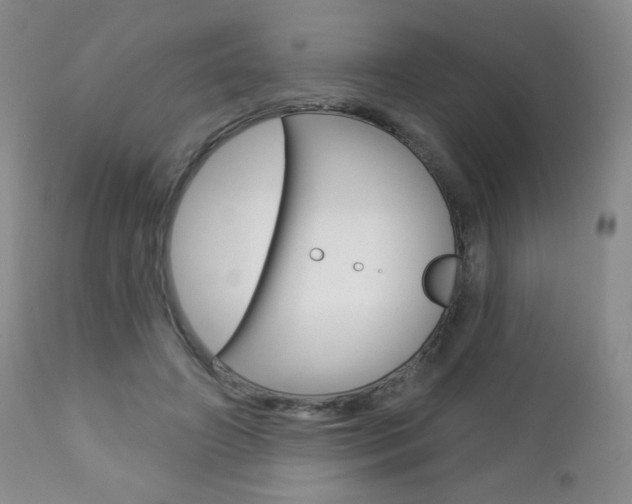 X0000112780498200908201417