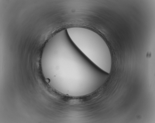 X0000112780499200908201417