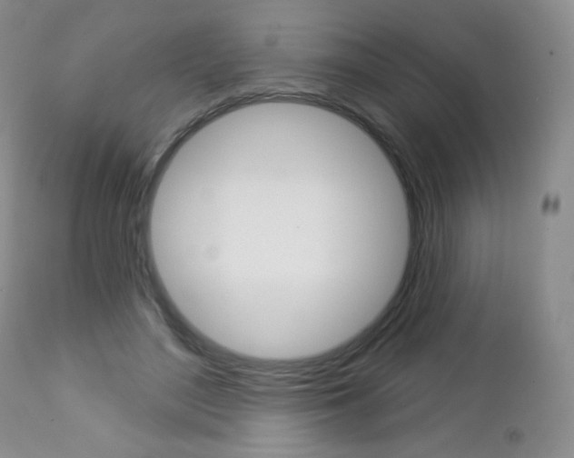 X0000112780500200908201417