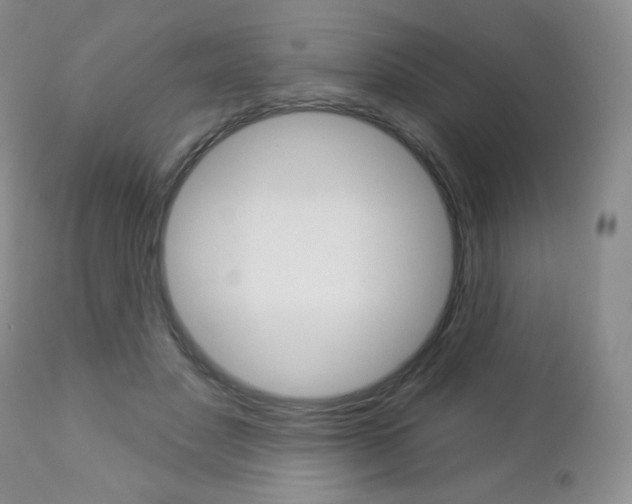 X0000112780501200908201417