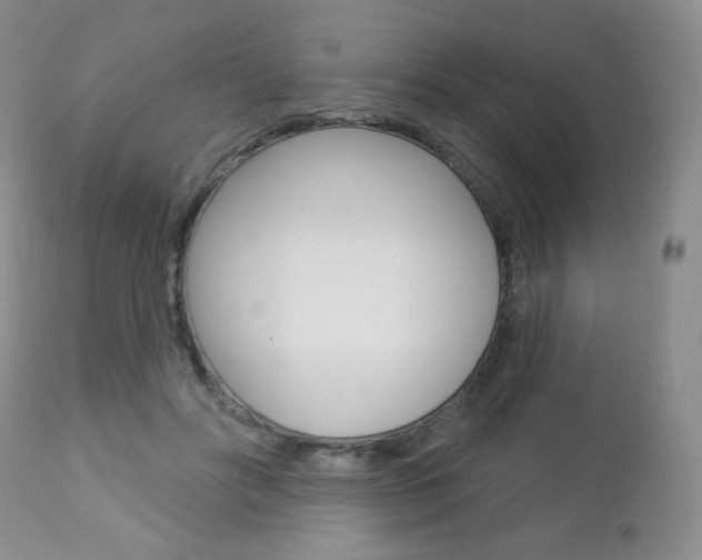 X0000112780502200908201417