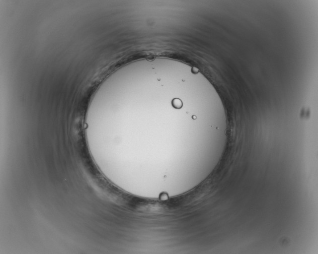 X0000112780503200908201417