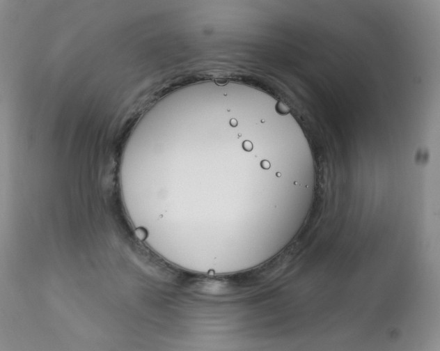 X0000112780507200908201417