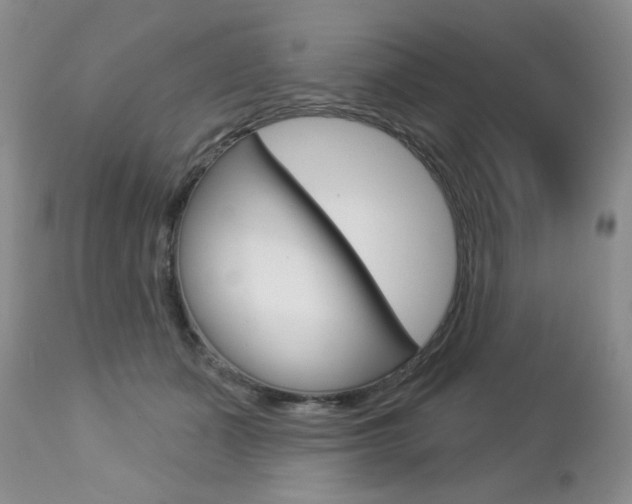 X0000112780511200908201417