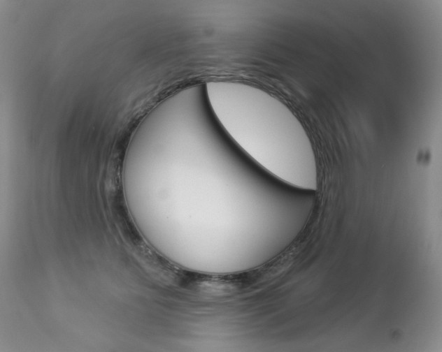 X0000112780515200908201417