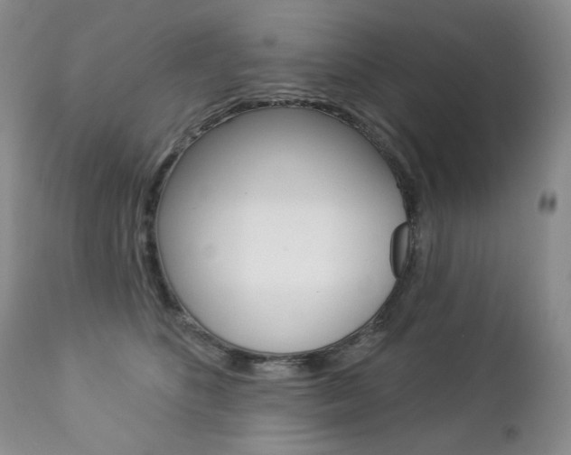 X0000112780516200908201417