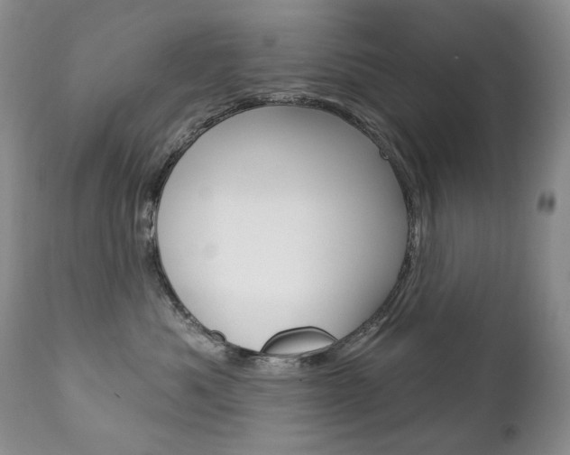 X0000112780525200908201417