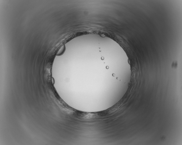 X0000112780527200908201417