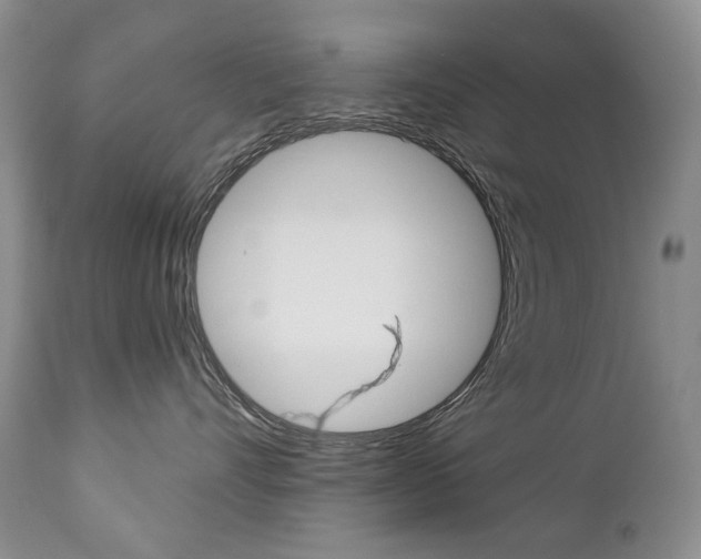 X0000112780528200908201417