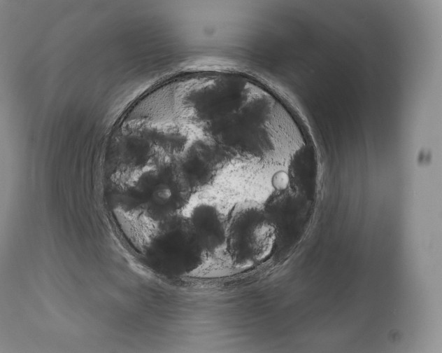 X0000112780529200908201416