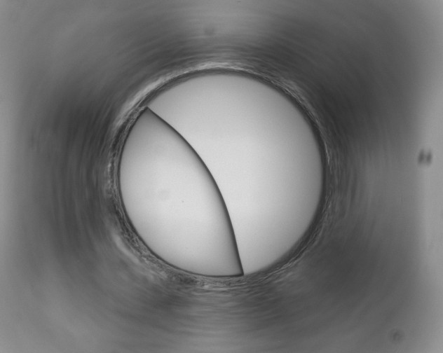 X0000112780531200908201416