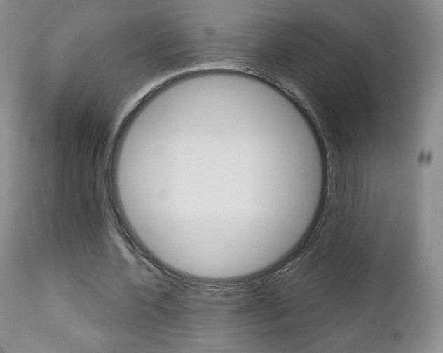 X0000112780532200908201416