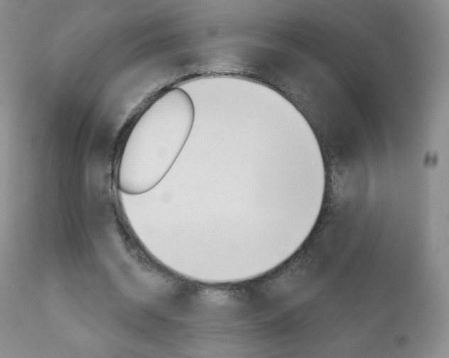 X0000112780534200908201416