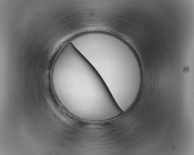 X0000112780535200908201416