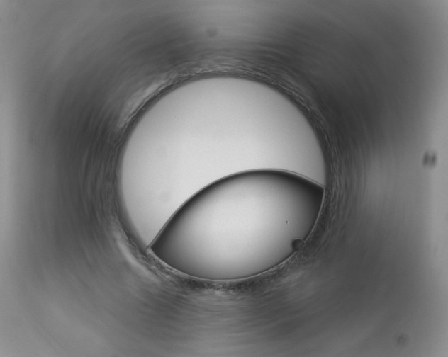 X0000112780538200908201416