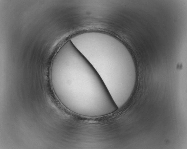 X0000112780539200908201416
