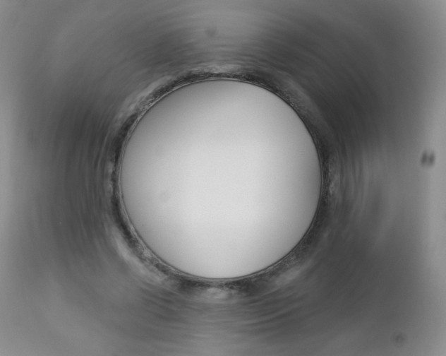 X0000112780542200908201416
