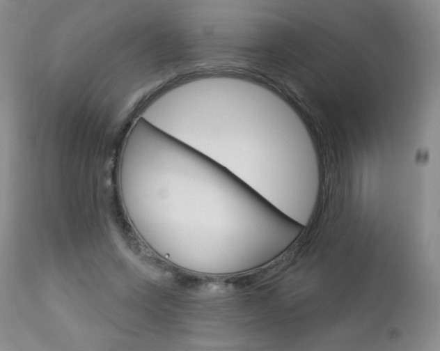 X0000112780543200908201416
