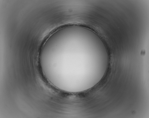 X0000112780544200908201416