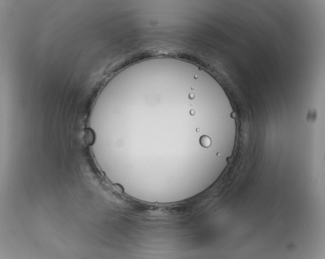 X0000112780545200908201416