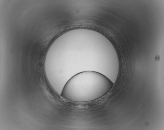 X0000112780546200908201416