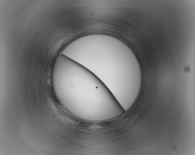 X0000112780547200908201416