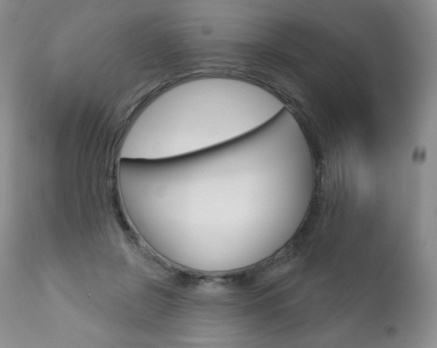 X0000112780550200908201416