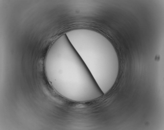 X0000112780551200908201416
