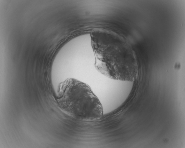 X0000112780553200908201416