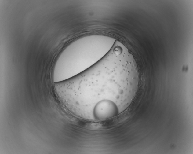 X0000112780554200908201416