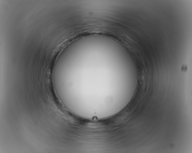 X0000112780556200908201416
