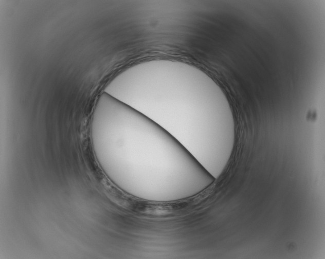 X0000112780559200908201416