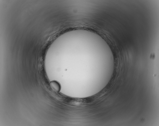 X0000112780563200908201416