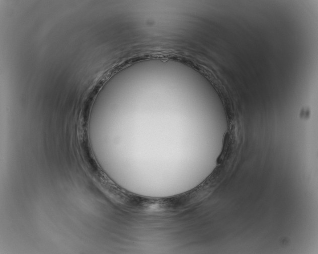 X0000112780564200908201416